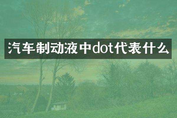 汽车制动液中dot代表什么