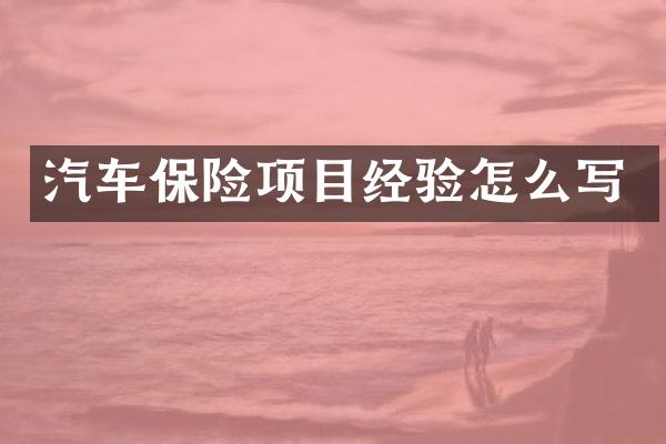 汽车保险项目经验怎么写