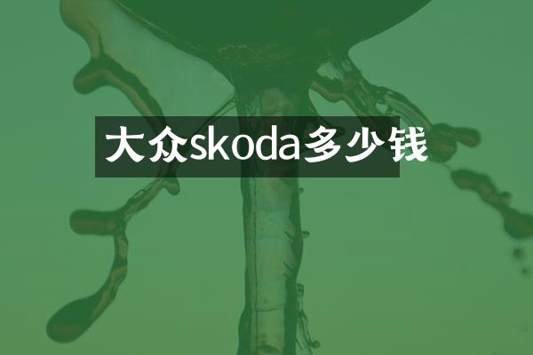 大众skoda多少钱