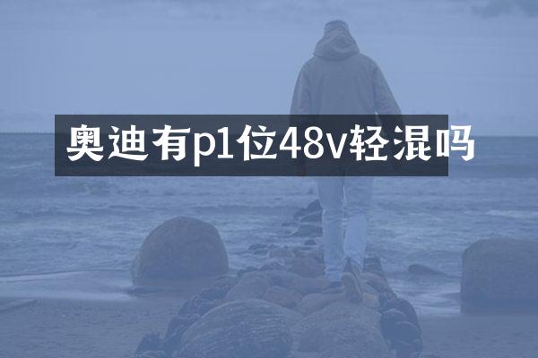 奥迪有p1位48v轻混吗