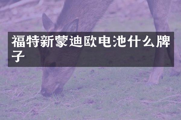 福特新蒙迪欧电池什么牌子