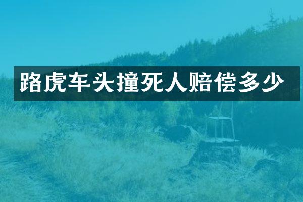 路虎车头撞死人赔偿多少