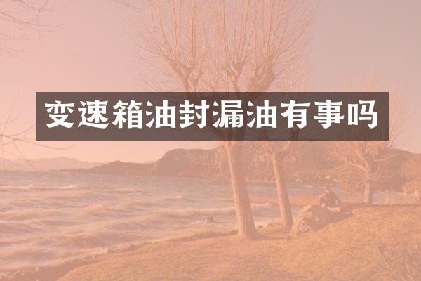 变速箱油封漏油有事吗