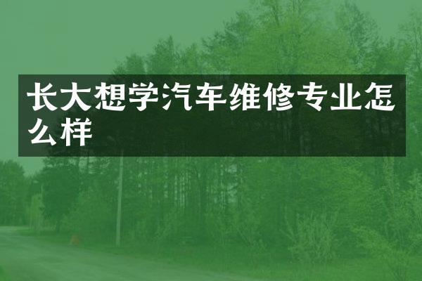 长大想学汽车维修专业怎么样
