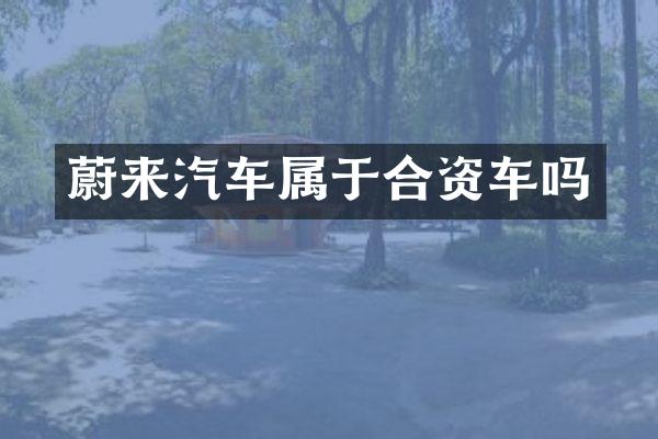 蔚来汽车属于合资车吗