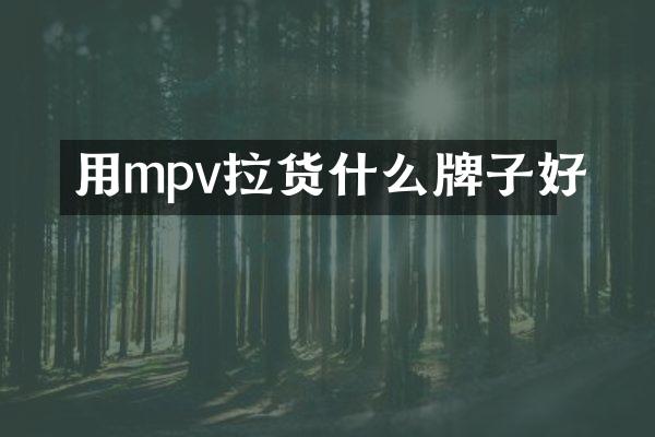 用mpv拉货什么牌子好
