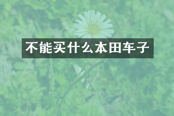 不能本田车子