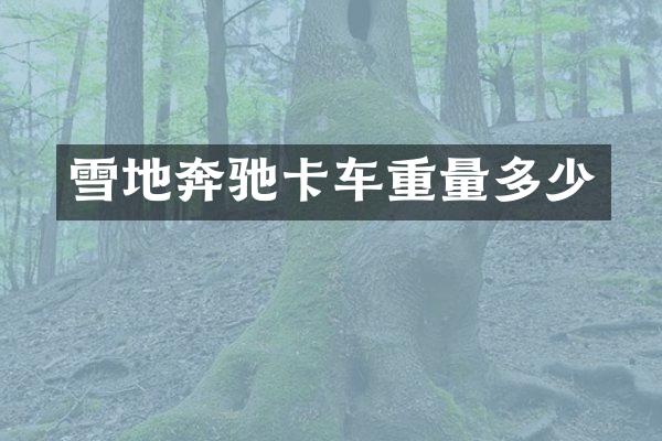 雪地奔驰卡车重量多少