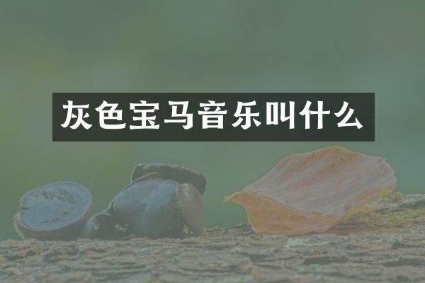 灰色宝马音乐叫什么