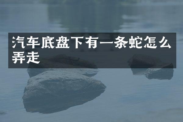 汽车底盘下有一条蛇怎么弄走