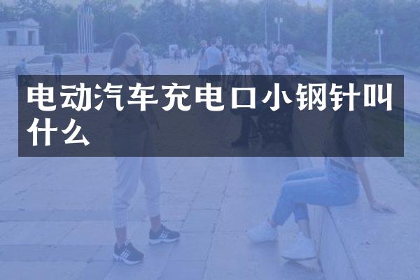 电动汽车充电口小钢针叫什么