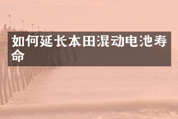 如何延长本田混动电池寿命