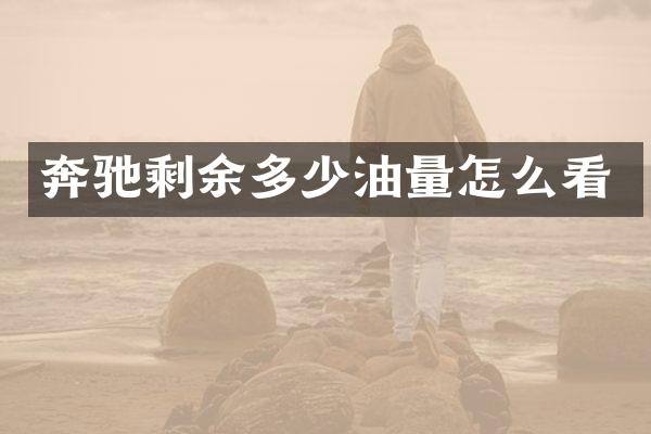 奔驰剩余多少油量怎么看