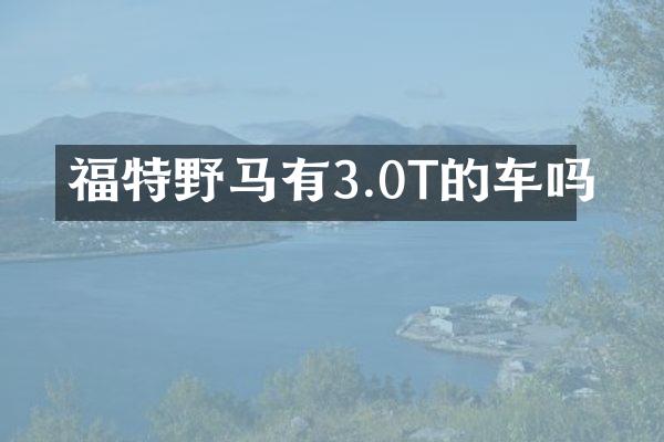 福特野马有3.0T的车吗