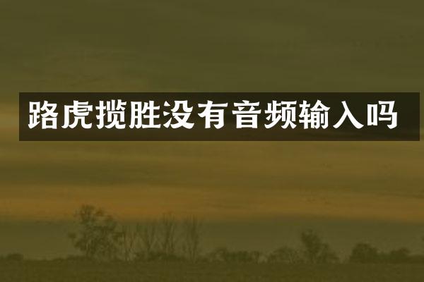 路虎揽胜没有音频输入吗