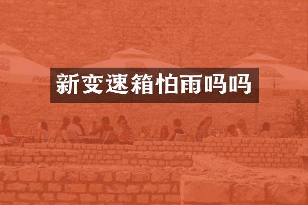新变速箱怕雨吗吗