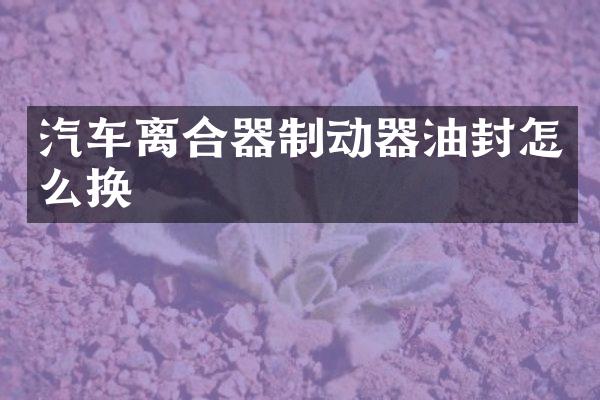 汽车离合器制动器油封怎么换