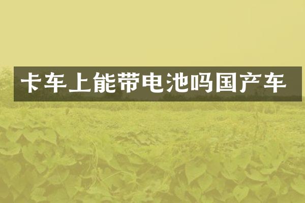卡车上能带电池吗国产车