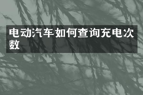 电动汽车如何查询充电次数