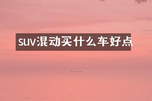 suv混动车好点