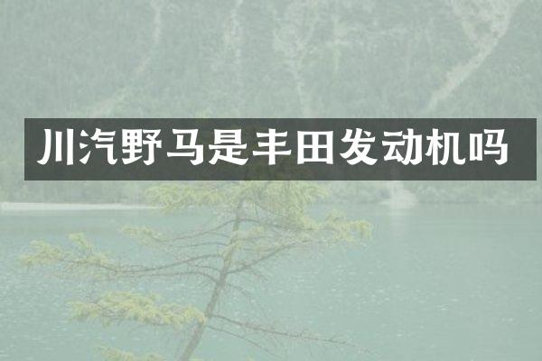 川汽野马是丰田发动机吗