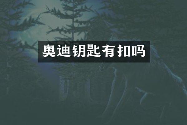 奥迪钥匙有扣吗