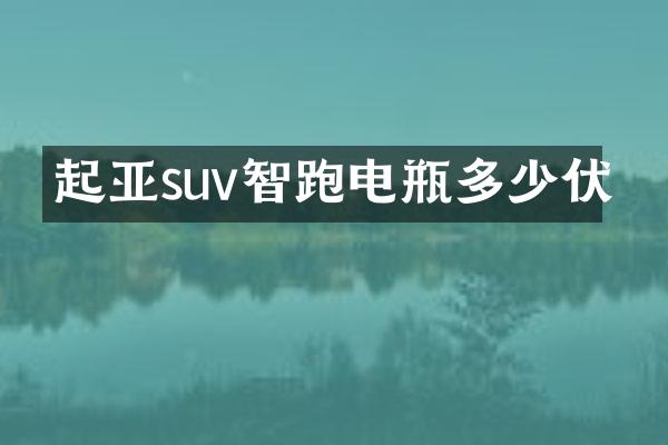 起亚suv智跑电瓶多少伏