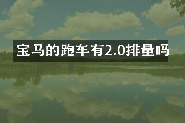 宝马的跑车有2.0排量吗