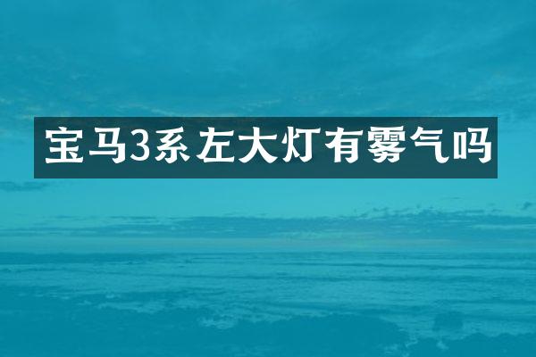 宝马3系左大灯有雾气吗
