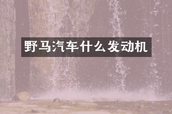 野马汽车什么发动机