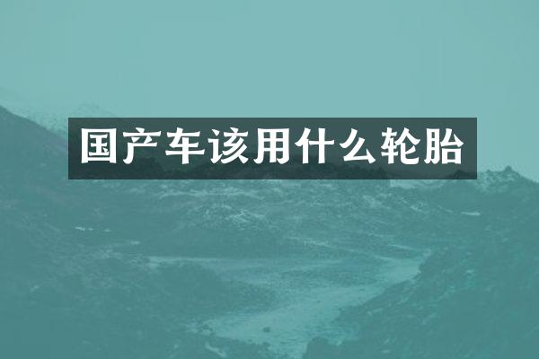国产车该用什么轮胎