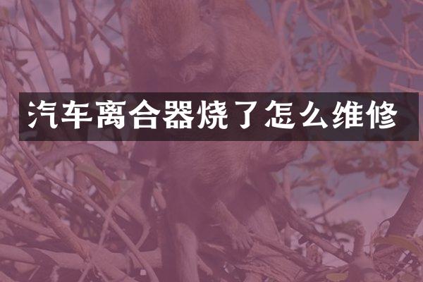汽车离合器烧了怎么维修