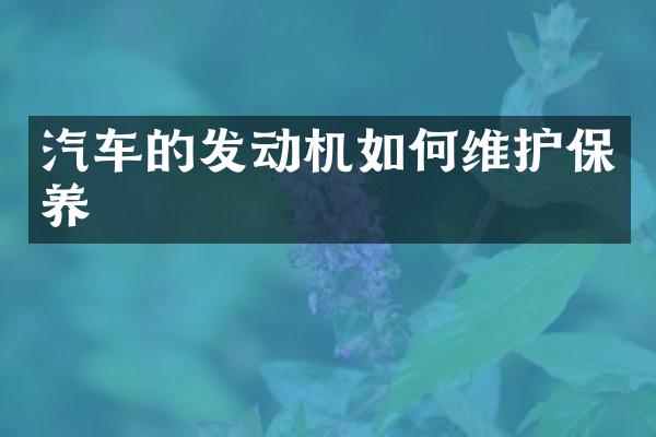 汽车的发动机如护保养