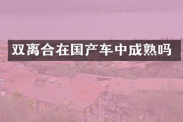 双离合在国产车中成熟吗