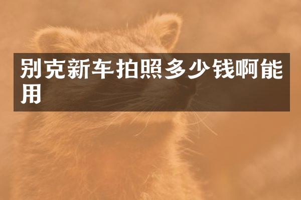 别克新车拍照多少钱啊能用