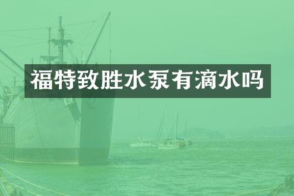 福特致胜水泵有滴水吗