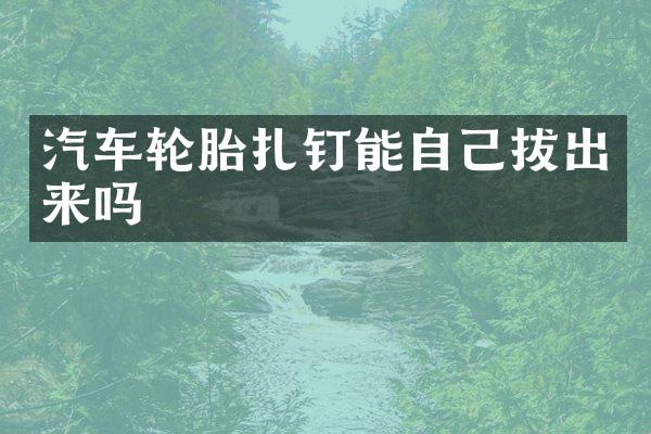 汽车轮胎扎钉能自己吗