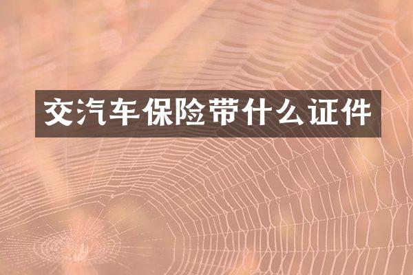 交汽车保险带什么证件
