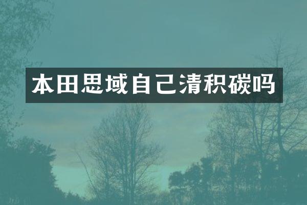 本田思域自己清积碳吗