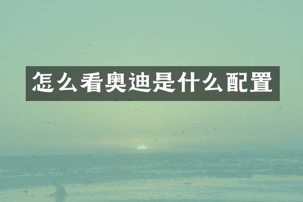 怎么看奥迪是什么配置