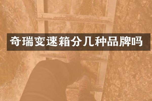奇瑞变速箱分几种品牌吗
