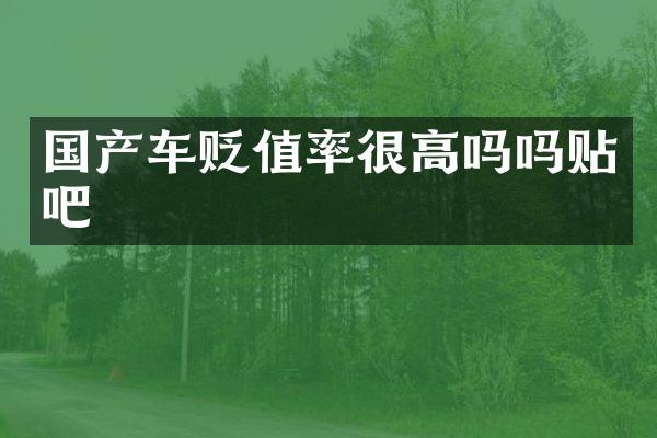 国产车贬值率很高吗吗贴吧