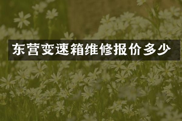东营变速箱维修报价多少