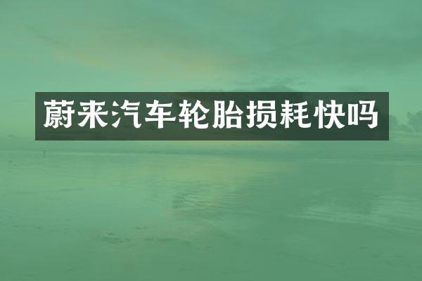 蔚来汽车轮胎损耗快吗