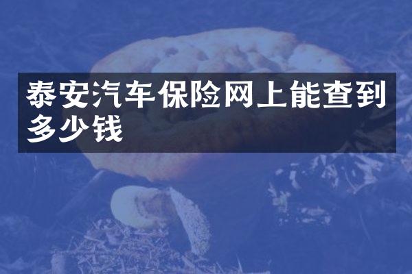 泰安汽车保险网上能查到多少钱