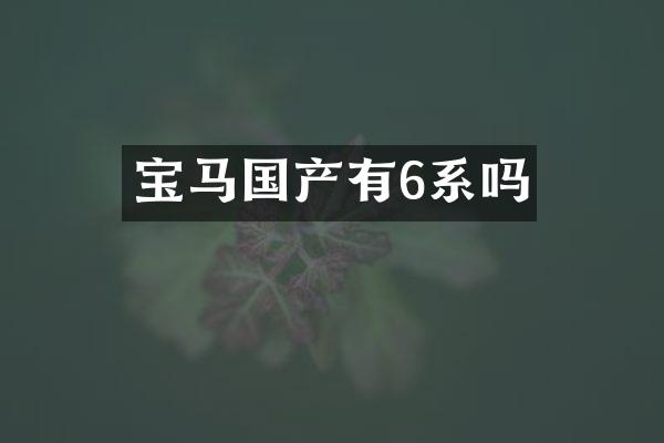 宝马国产有6系吗