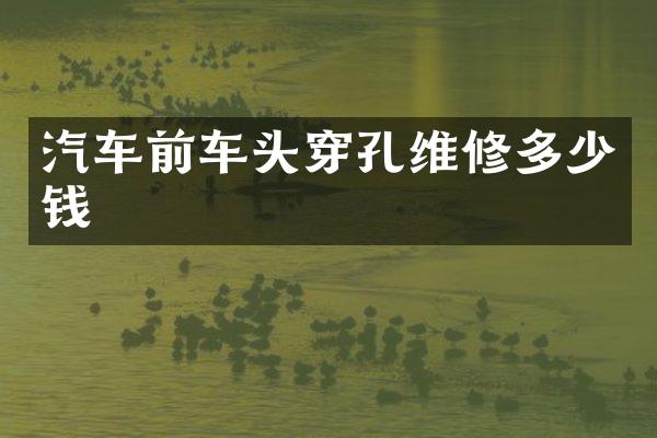汽车前车头穿孔维修多少钱