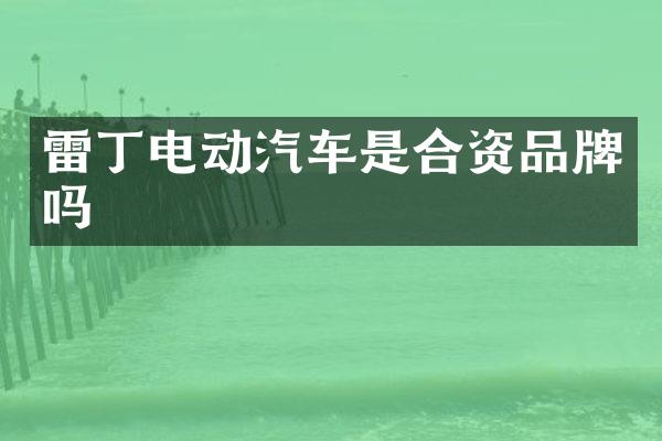雷丁电动汽车是合资品牌吗