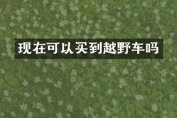 现在可以买到越野车吗