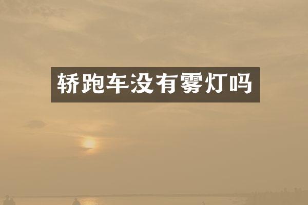 轿跑车没有雾灯吗